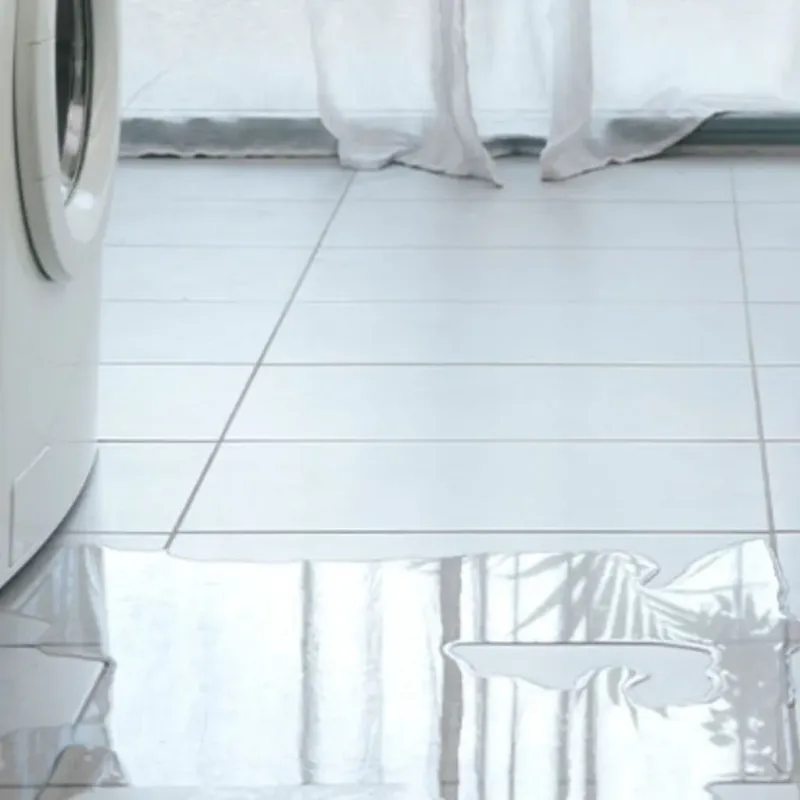 Appliance Leak Cleanup in Crystal Lake, IL
