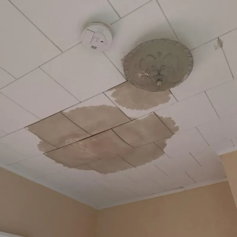 Ceiling Water Damage Repair in Crystal Lake, IL