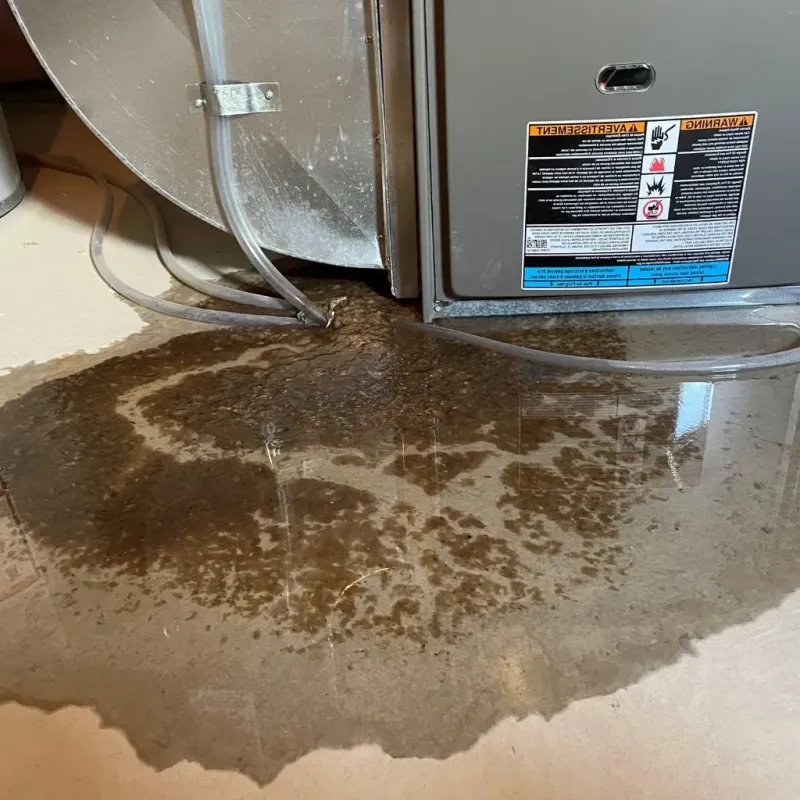 Pipe Burst and Leak Restoration in Crystal Lake, IL