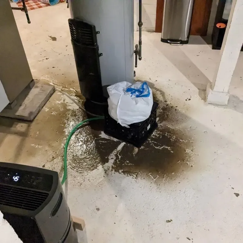 Sewage Backup Cleanup Service in Crystal Lake, IL